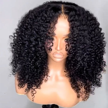 Curly HD Lace Wig – 250% Glueless